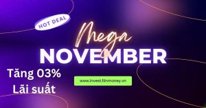 Hot Deal Mega November